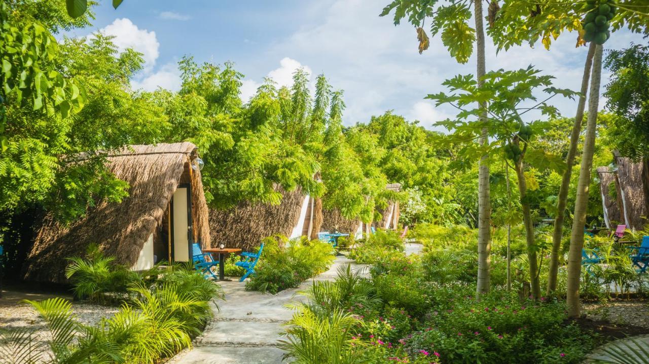 Amalife Beach Club & Hotel Tierra Bomba Eksteriør bilde