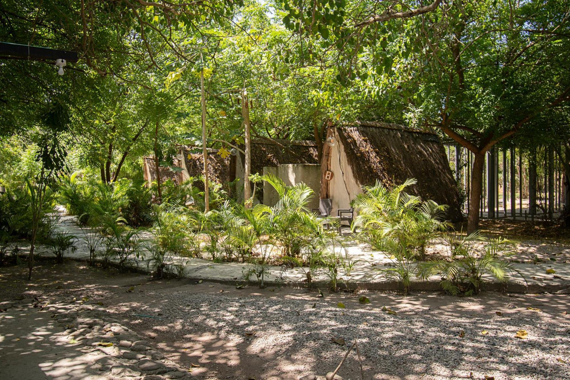 Amalife Beach Club & Hotel Tierra Bomba Eksteriør bilde